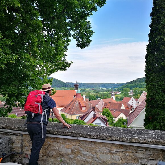 Ein Wanderer mit roten Rucksack steht an einer Mauer und lässt seinen Blick über Greding schweifen. Die Stadt ist von zwei Bäumen eingerahmt.
