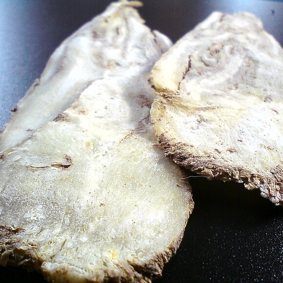 Angelika Sinensis oder auch Angelikawurzel