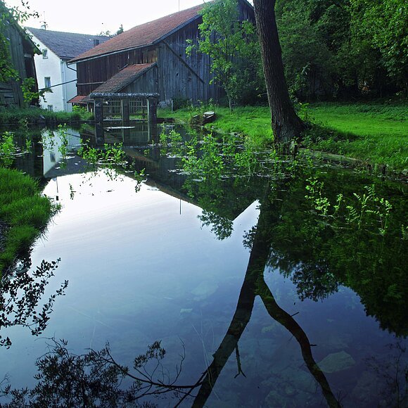 Mühlbachquellteich Quellteich des Mühlbachs bei der Obermühle