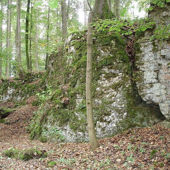 Mauerreste und Bäume im Hintergrund