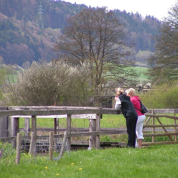 Schleusenkammer am König-Ludwig-Kanal Zwei Wanderer schauen in die Schleusenkammer am historischen König-Ludwig-Kanal bei Mühlbach. Im Hintergrund ein Wehr und bewaldeter Hang
