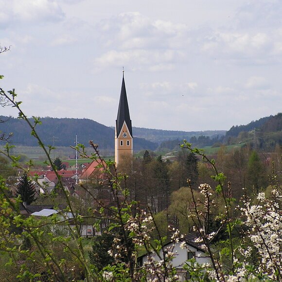 Aussicht vom Wildensteinerweg auf Dietfurt im Mittelpunkt der Kirchturm von der Pfarrkirche