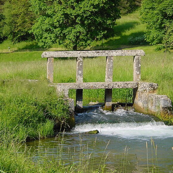Schwall Ein Schwall an der Laber zwischen Dietfurt und Breitenbrunn