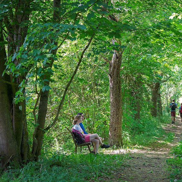 Wanderer in Dietfurt Wanderer im Grünen