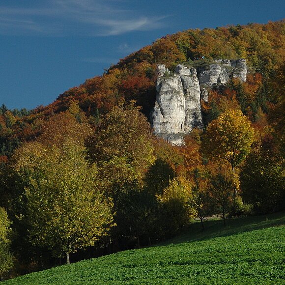 Kopffelsen Der Kopffelsen in mitten von herbstlichen Laubbäumen, im Vordergrund ein Stück grüne Wiese und im Hintergrund blauer Himmel