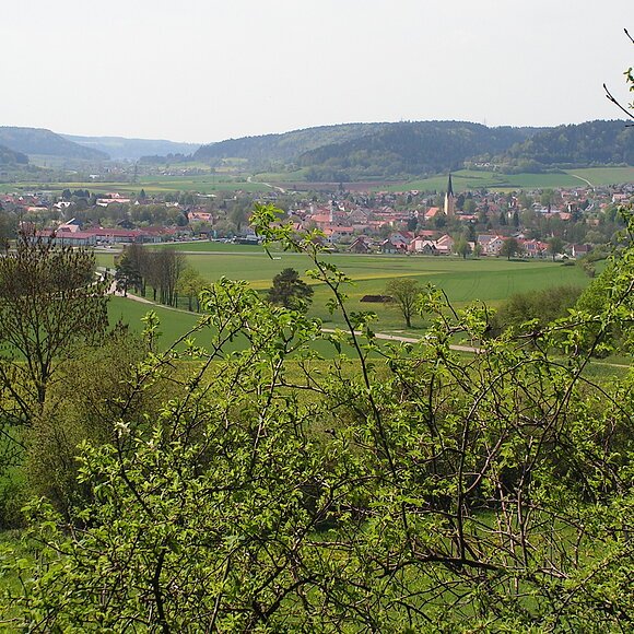 Sommerleiten Blick auf Dietfurt von der Sommerleiten