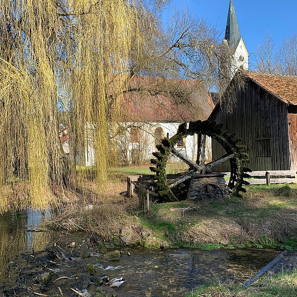 Schambachursprung bei Schamhaupten Ursprung der Schambach bei Schamhaupten, Wasserrad vor der Kirche, Trauerweide an der Schambach