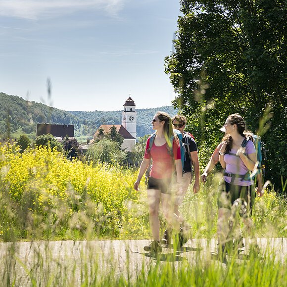 Drei Wanderer mit Rucksäcken auf Weg vor gelben Blumen und Dorf mit Kirchturm im Hintergrund
