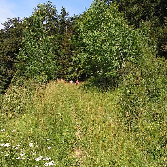 Wanderweg am bewachsenen Südhang  mit zwei Wanderer die in den Wald im Hintergrund gehen