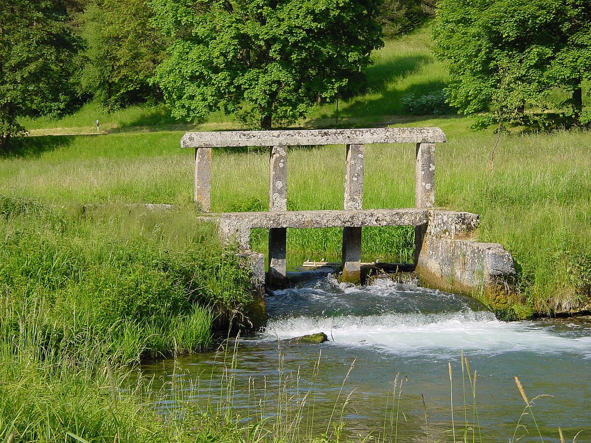 Ein Schwall an der Laber zwischen Dietfurt und Breitenbrunn
