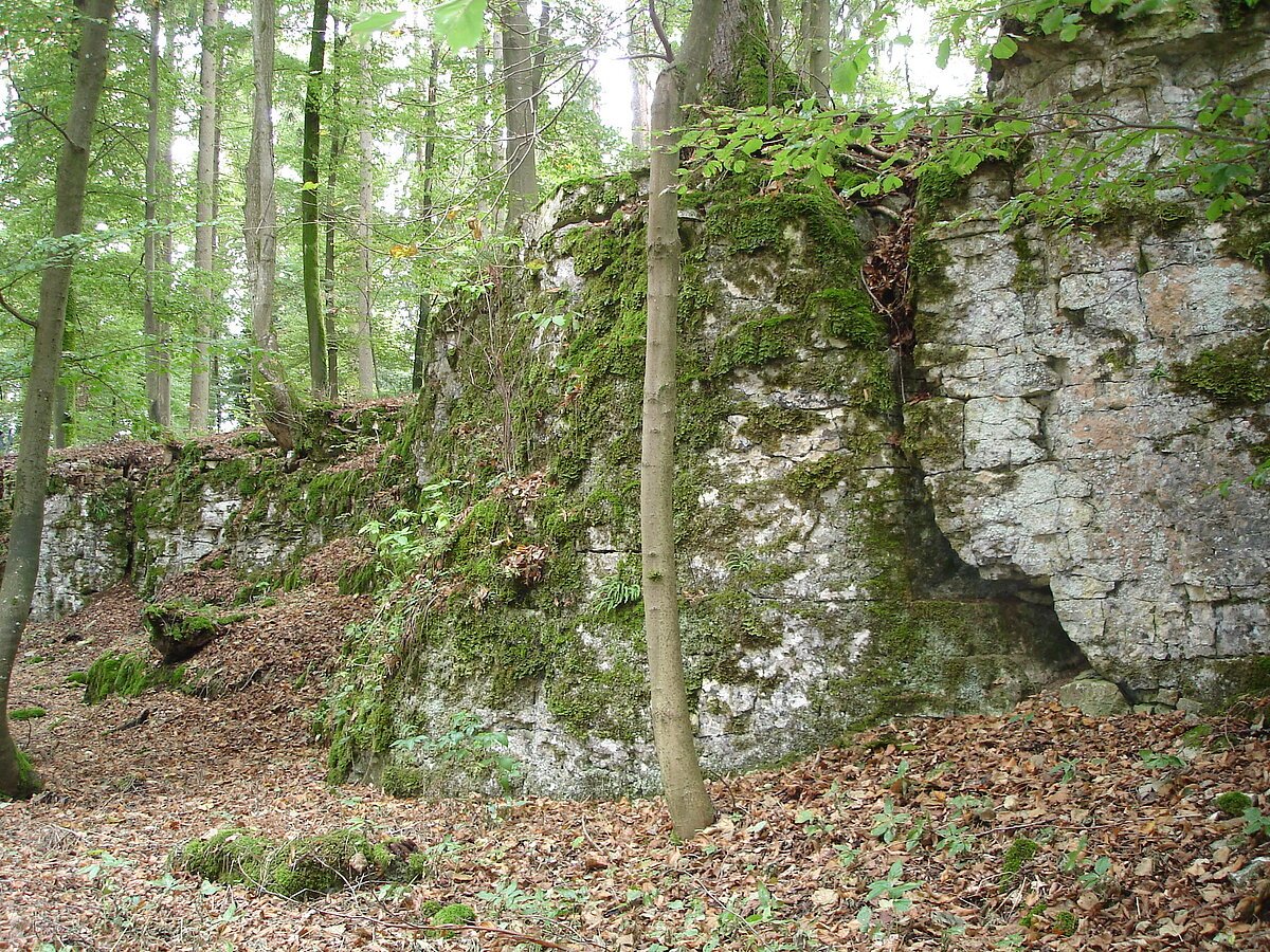 Mauerreste und Bäume im Hintergrund
