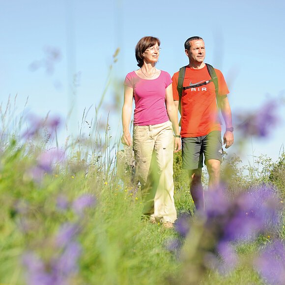 Wanderer auf blühender Wiese